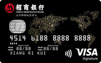 VISA全币种信用卡