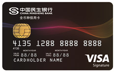 民生Visa全币种信用卡